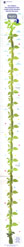 Full growth chart: actual size nearly 6' tall.